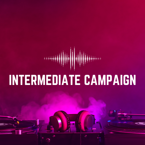 Intermediate Campaign