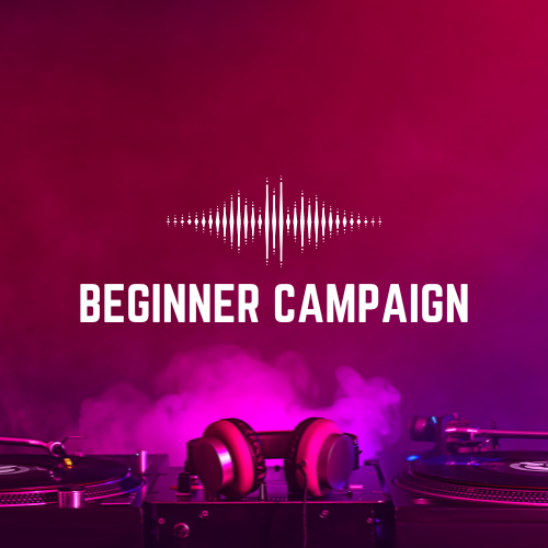 Beginner Campaign